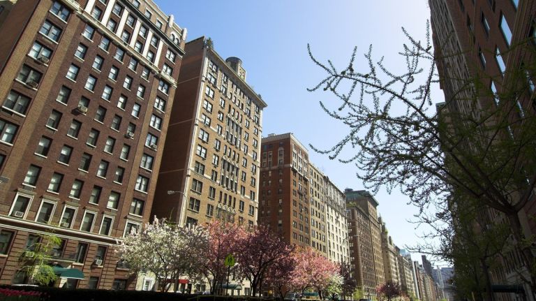Best NYC Apartment Alert Services Compared